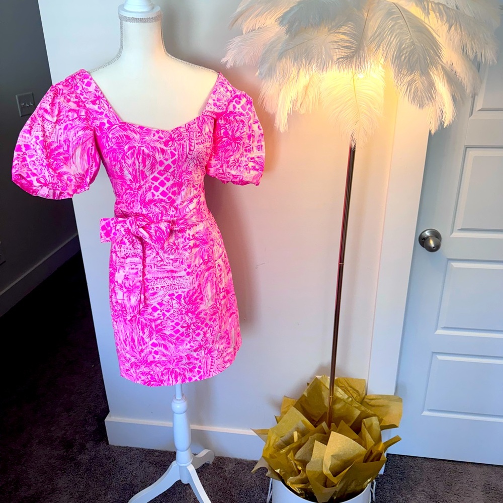Lilly Pulitzer Merian Stretch Dress NWT (New with Tags) Never been worn! Size 2